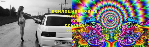 прущий лед Козельск