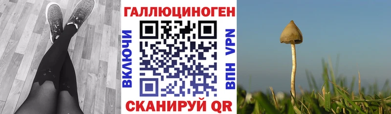 Псилоцибиновые грибы Magic Shrooms  Купить закладки  Верхняя Тура 