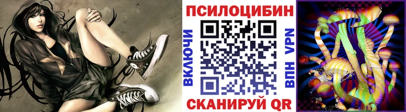 Псилоцибиновые грибы Psilocybine cubensis Верхняя Тура